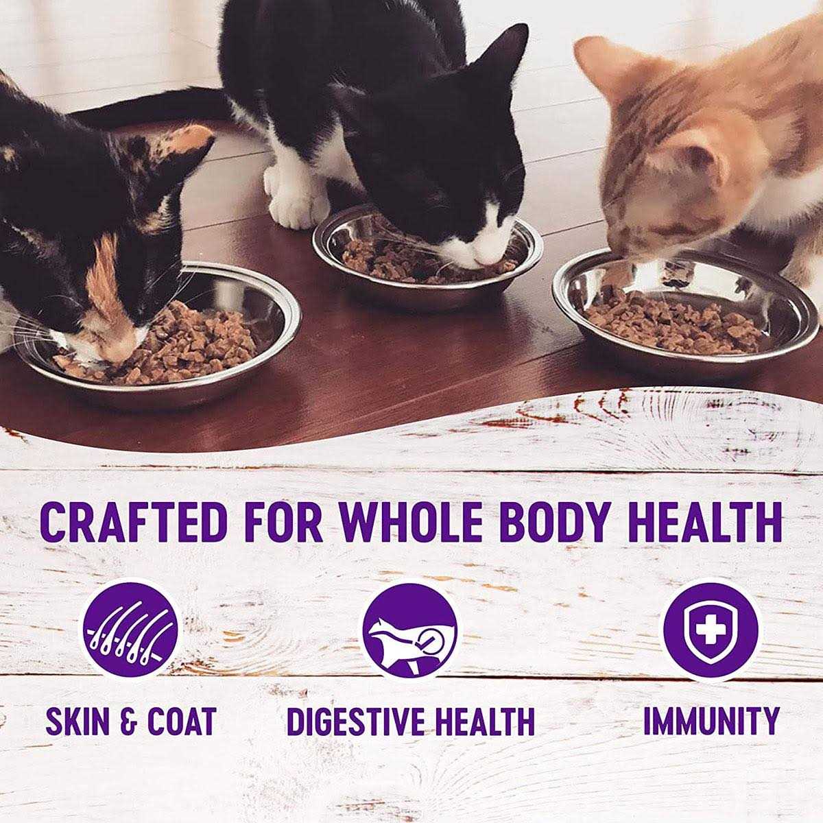 Cat Food S850