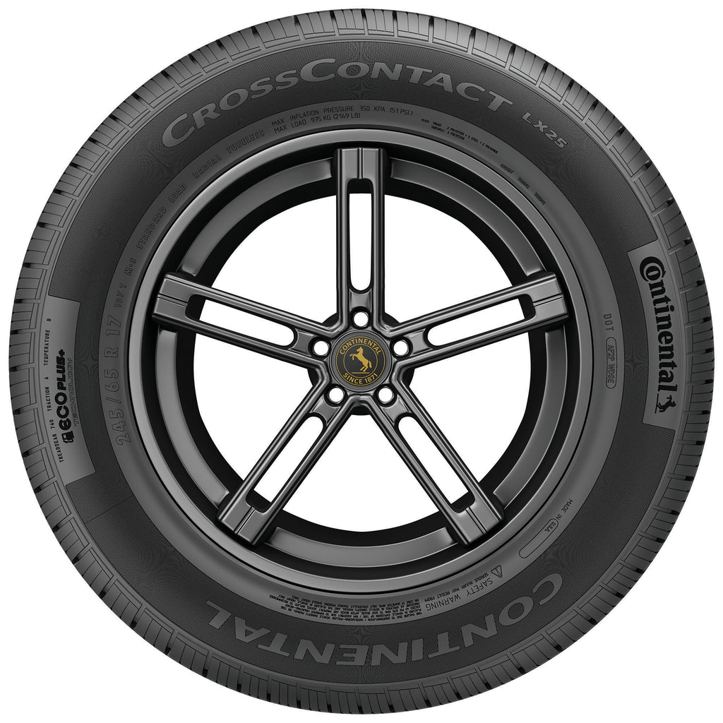 All Season 255/50R19 107H XL SUV/Crossover Tire L2470