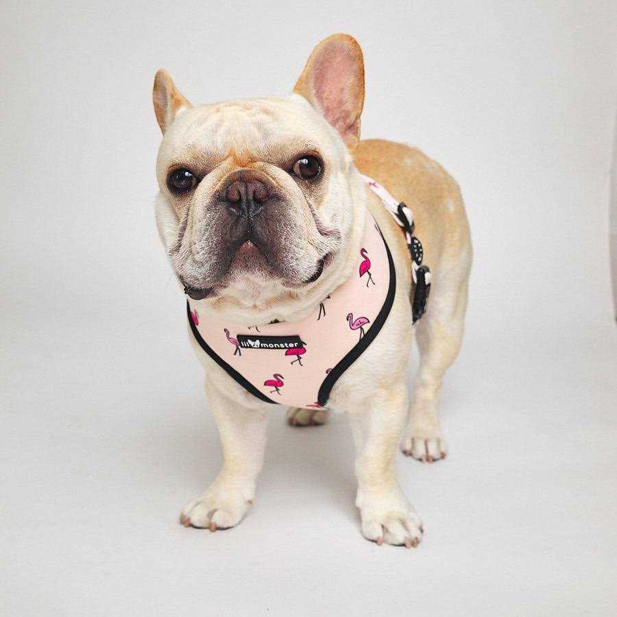 Reversible Dog Harness F4384