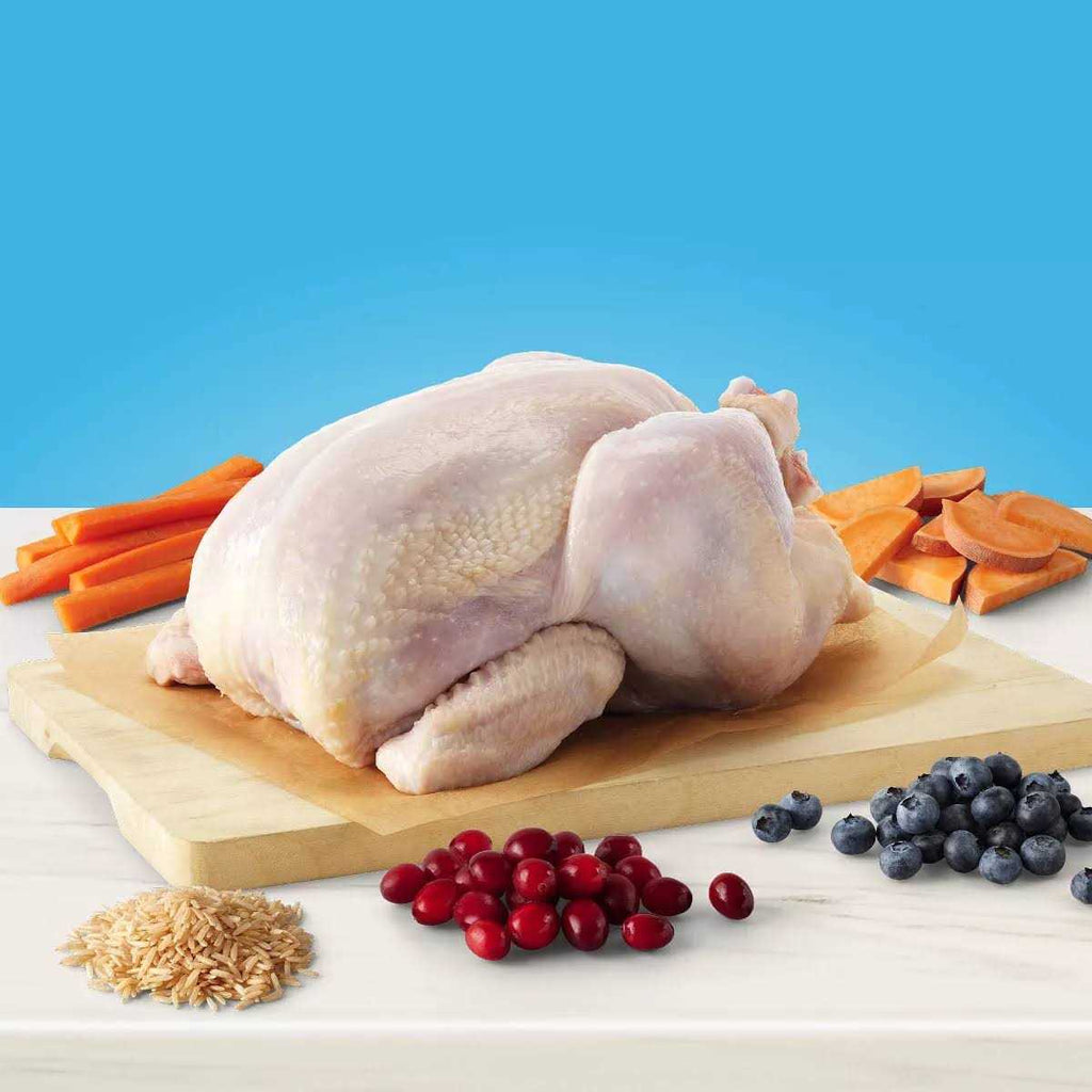 Natural Chicken Indoor Adult Dry Cat Food G991