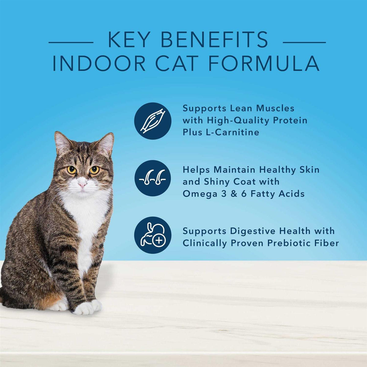 Natural Chicken Indoor Adult Dry Cat Food G991