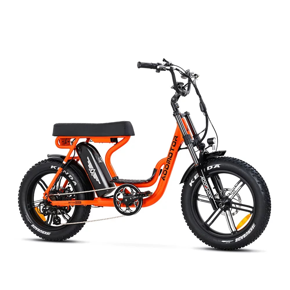 Fat Tire Step Through 750W 48V 20Ah Electric Bike G22350