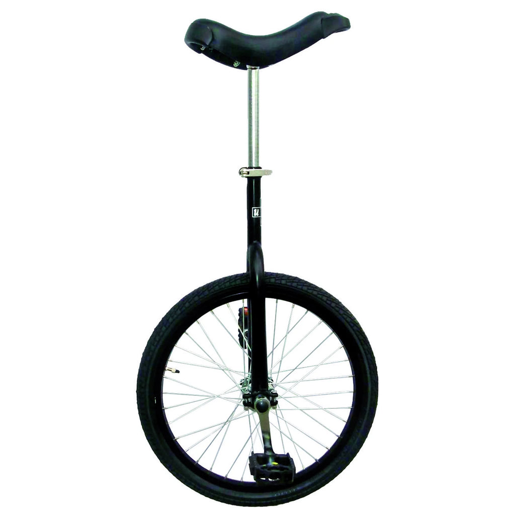 20 inch Unicycle with Alloy Rim, Blue Q6799