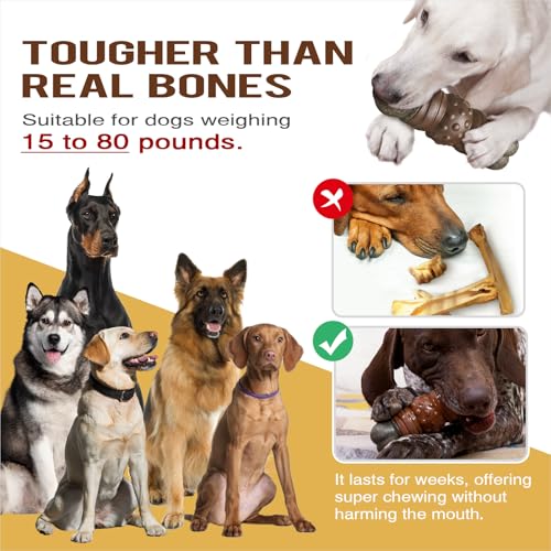 Large Durable Squeaky Dog Chew Toy L925