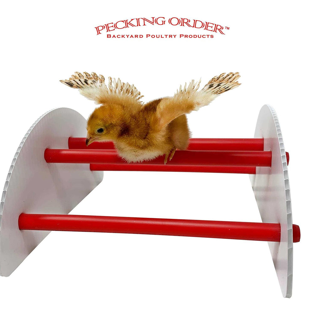 Chick-N-Play L22027