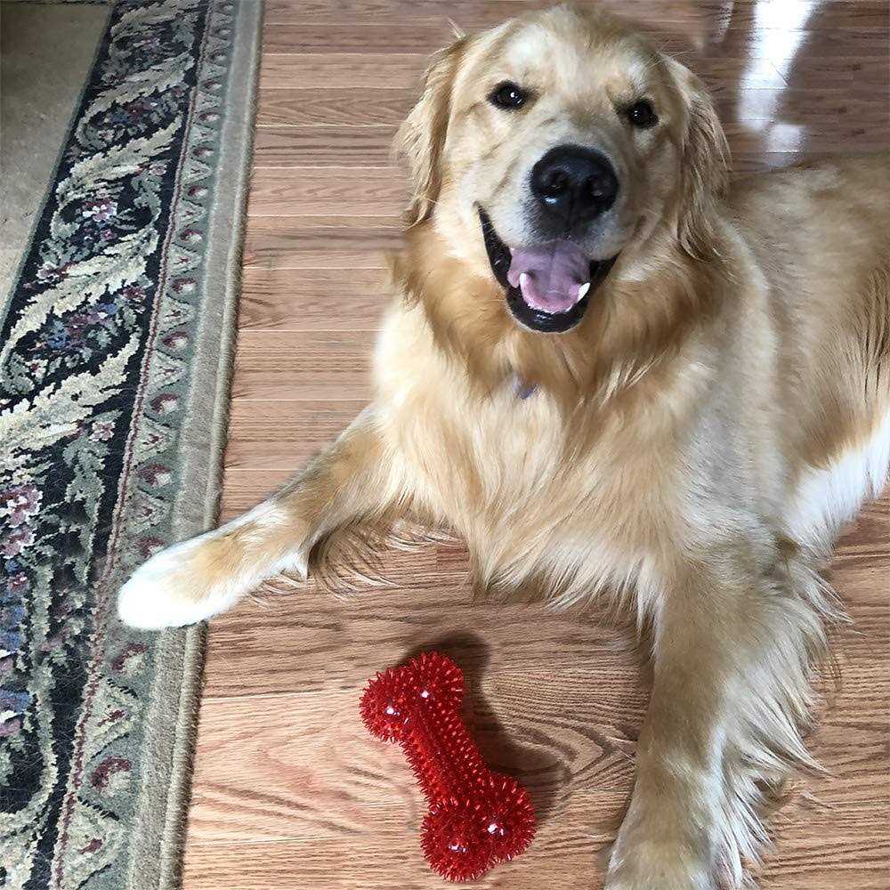Squeaker Bone Dog Toy I1962