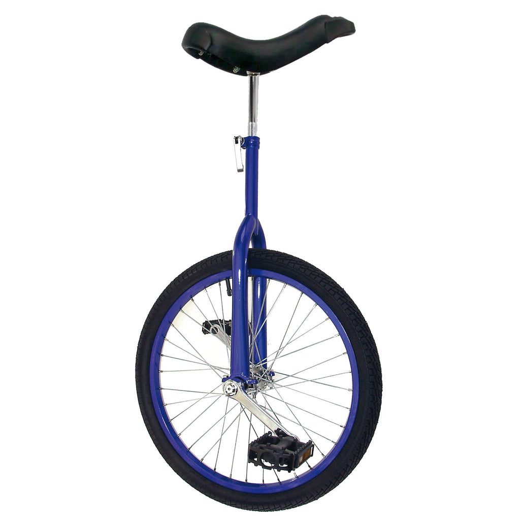 20 inch Unicycle with Alloy Rim, Blue Q6799