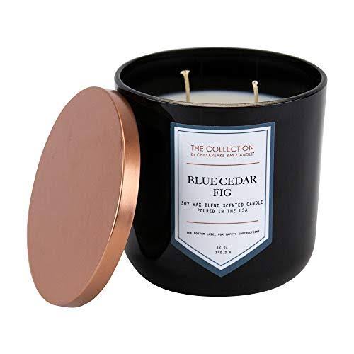Two-Wick Scented Candle, Blue Cedar Fig, 2 Count M7096