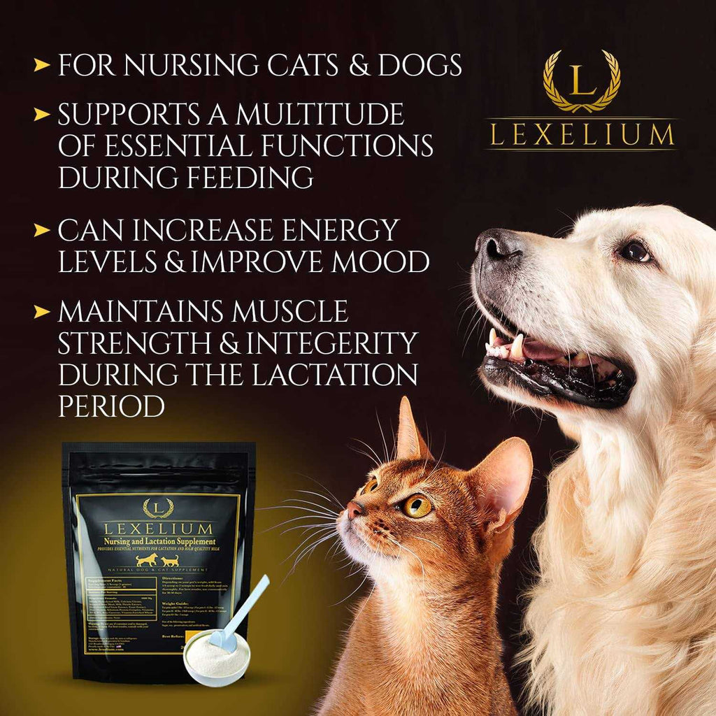 Nursing and Lactation Supplement for Dogs and Cats G640919