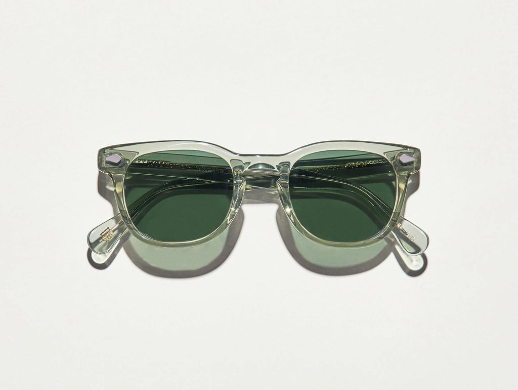 Sunglasses N806088