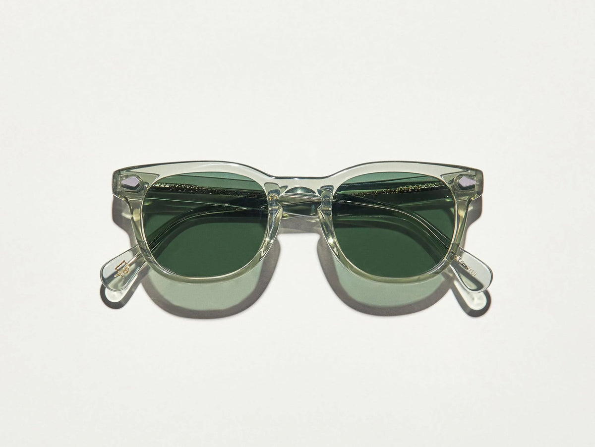 Sunglasses N806088