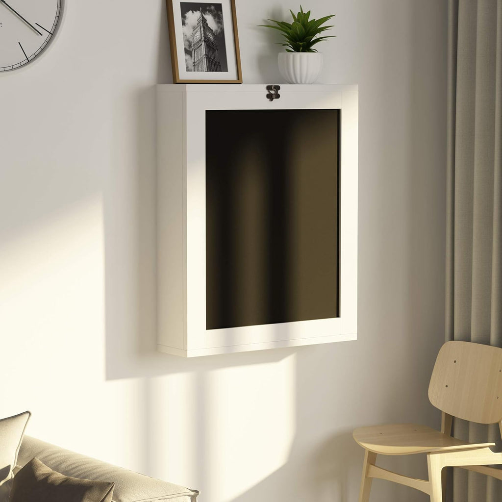 Wall Mounted Folding Desk with Storage Z314