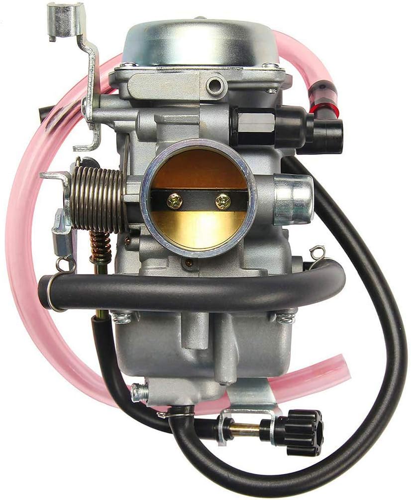 Carburetor with Fuel Gas Petcock Valve Switch Pump Pack of 2 I18655