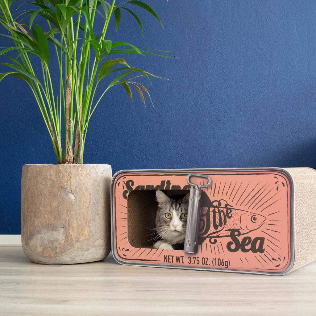 Cardboard Cat Scratcher R3094
