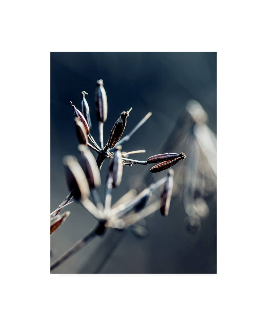 Canvas Art L984123
