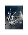 Canvas Art L984123