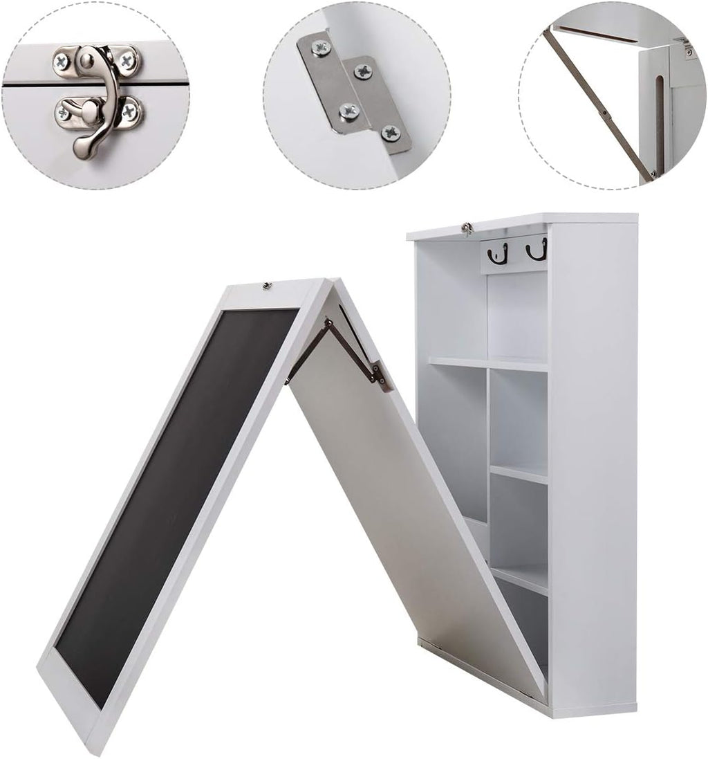 Wall Mounted Folding Desk with Storage Z314