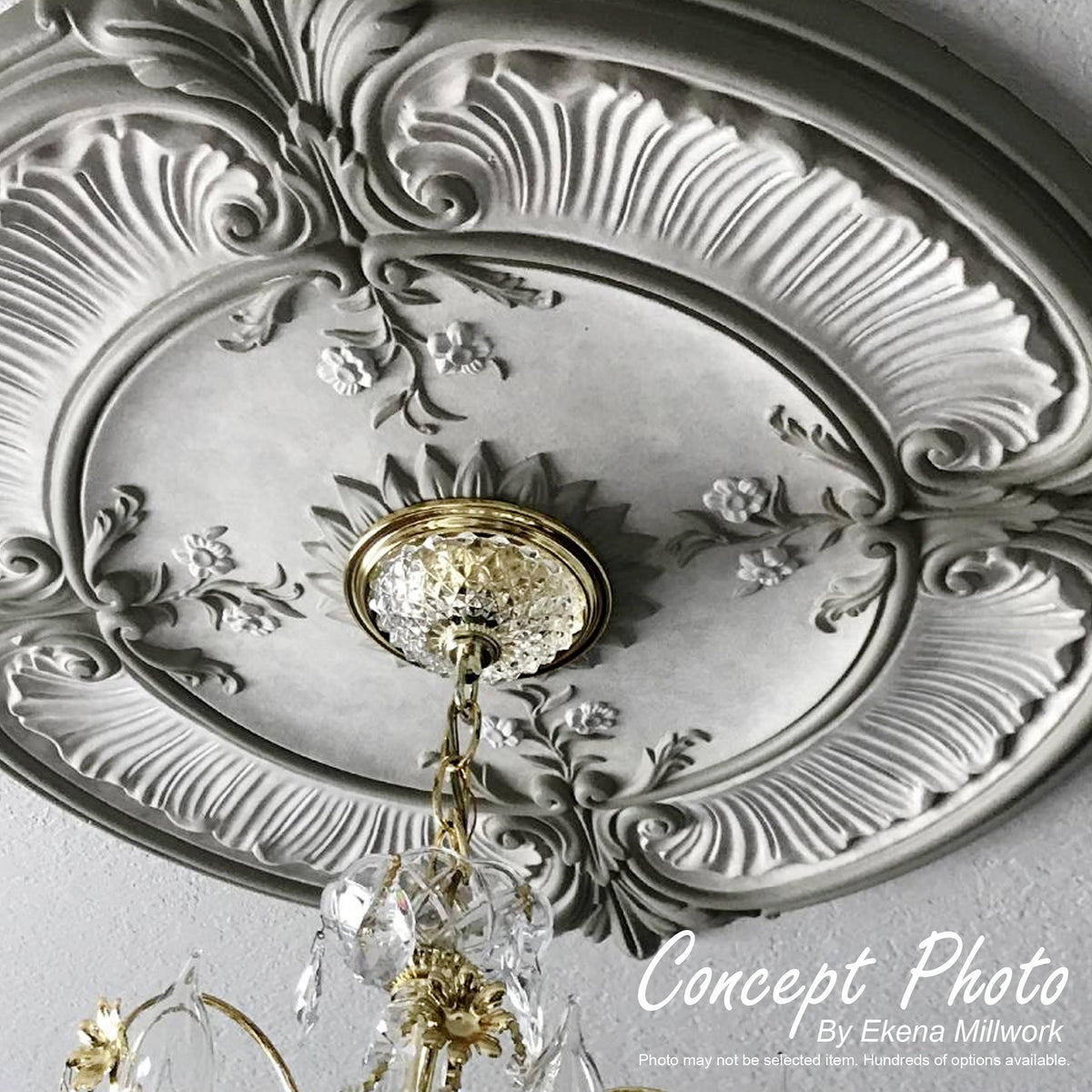 Ceiling Medallion W256725