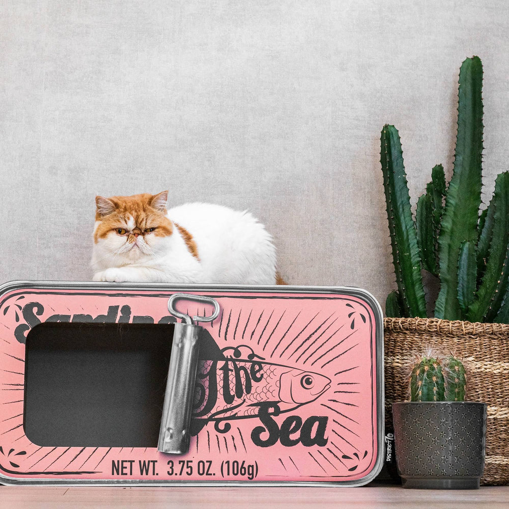 Cardboard Cat Scratcher R3094