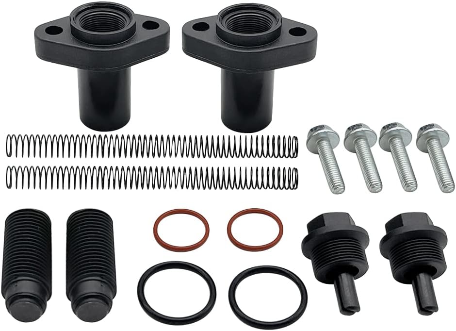 Cam Timing Chain Tensioner Kit Pack of 2 Q65008