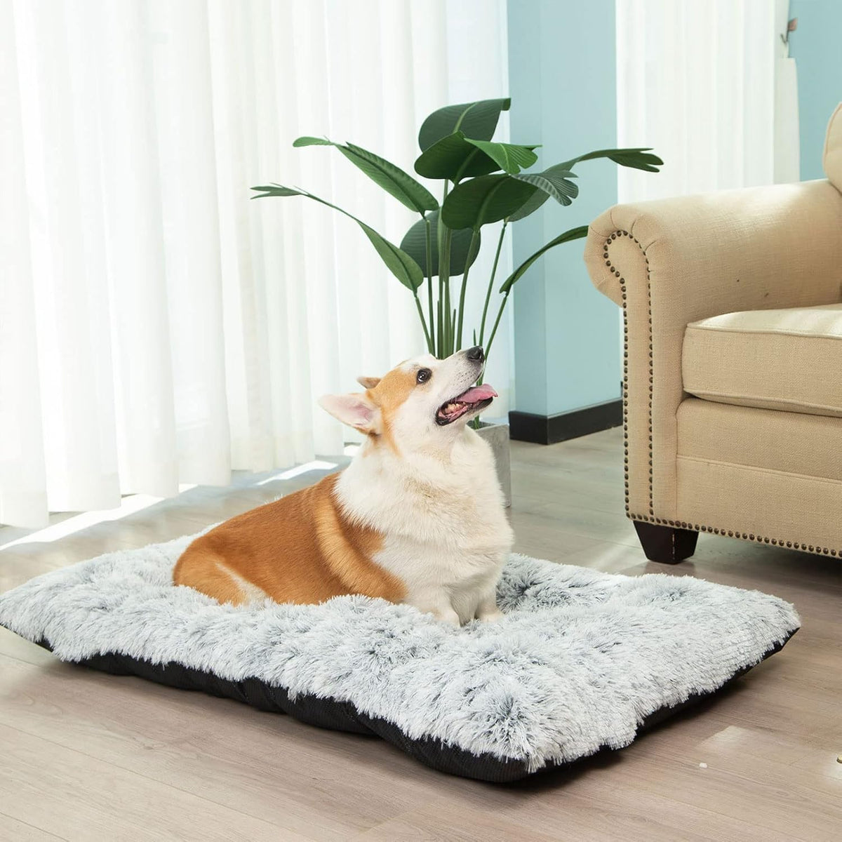 Large Plush Washable Dog Bed with Anti-Slip Bottom Y729919