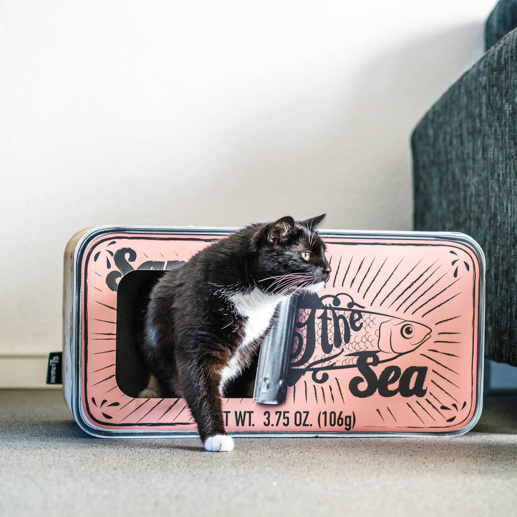 Cardboard Cat Scratcher R3094