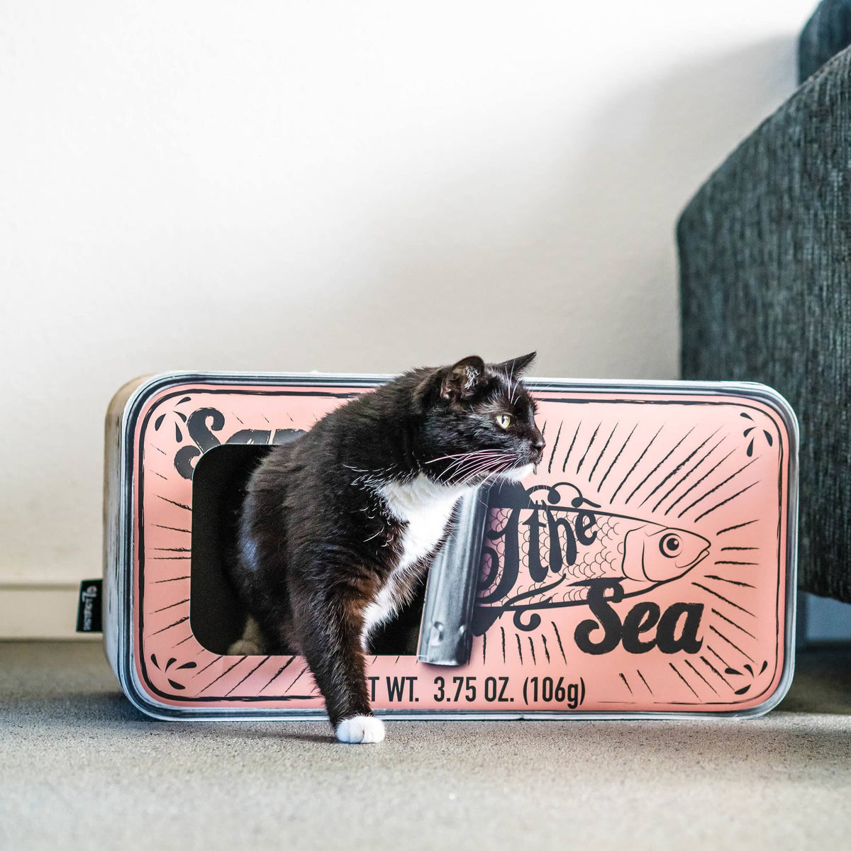 Cardboard Cat Scratcher R3094