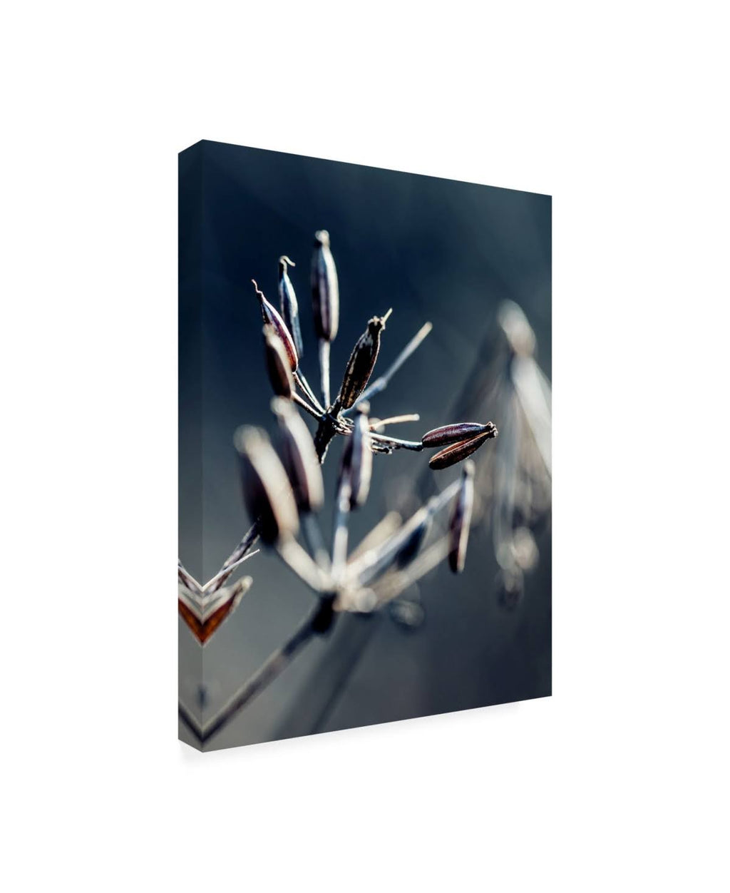 Canvas Art L984123