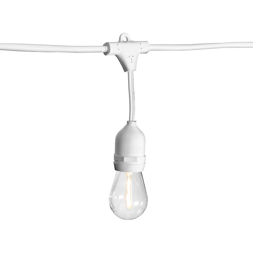 24 ft. White LED Outdoor String Lights T68565
