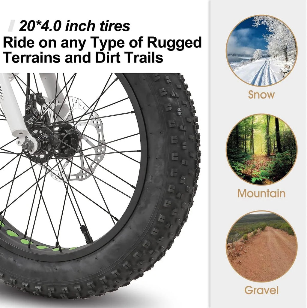 20 inch Kids Fat Tire Mountain Bike V629377