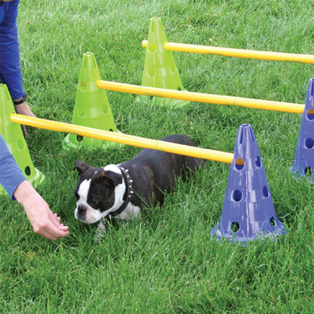Dog Agility Kit G429271
