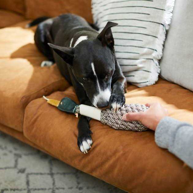Rope Duck Crinkle Dog Toy A637