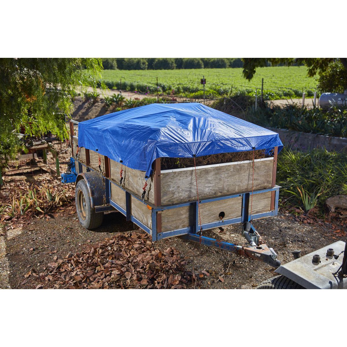 Blue All-Purpose Weather-Resistant Tarp D768429