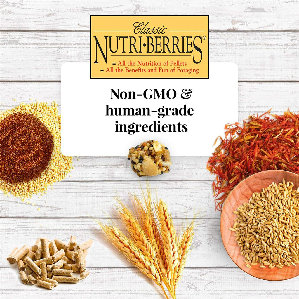 Nutri Berries Food X379