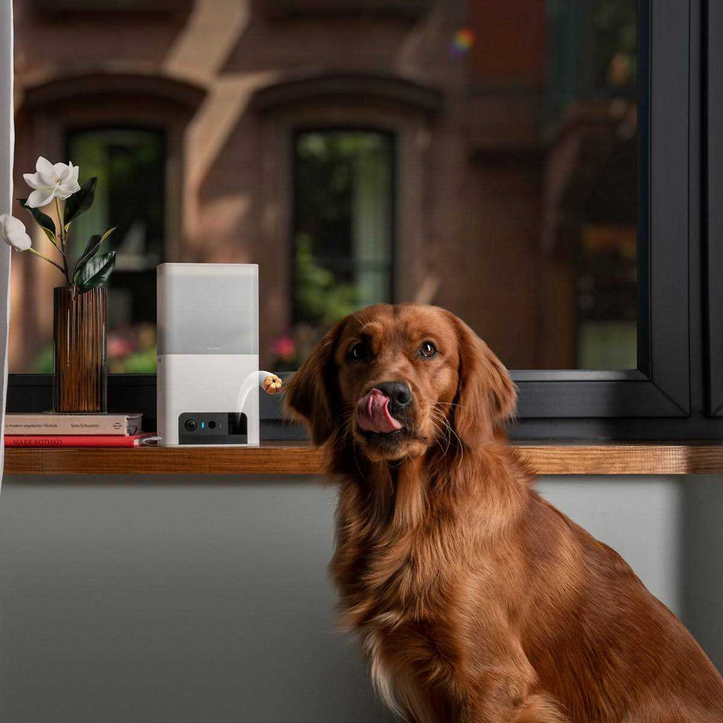 WiFi Pet Monitoring Camera with Treat Dispenser V640
