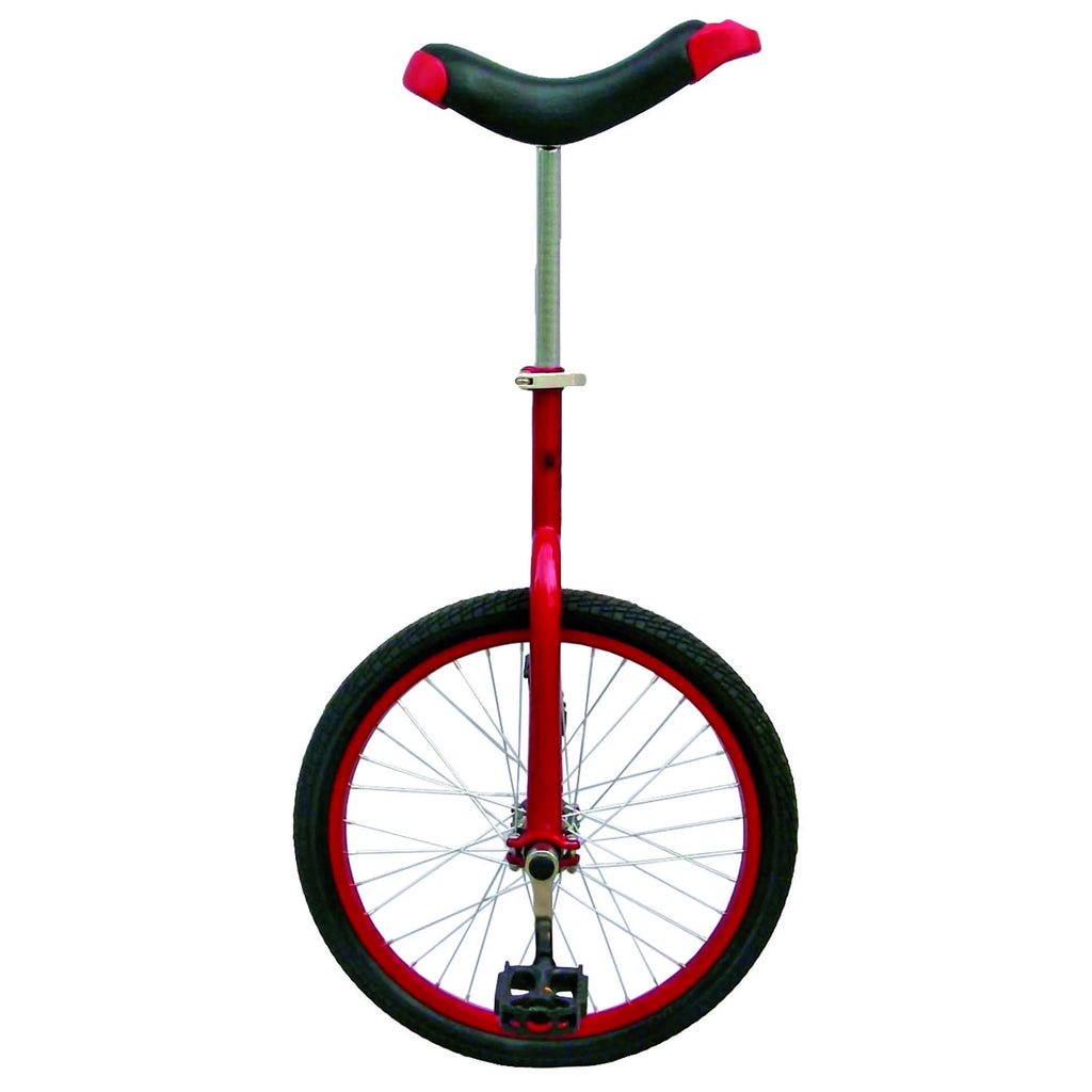 20 inch Unicycle with Alloy Rim, Blue Q6799