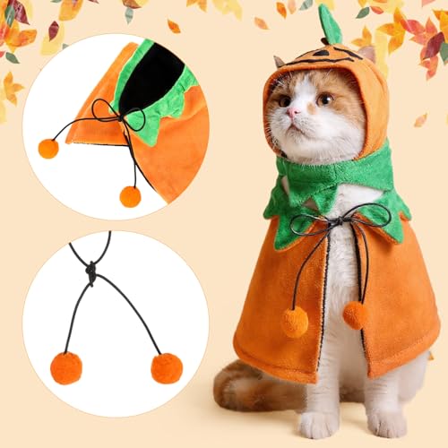 2 Sets Pet Pumpkin Costume Cat Halloween Cloak Hat Set B815594