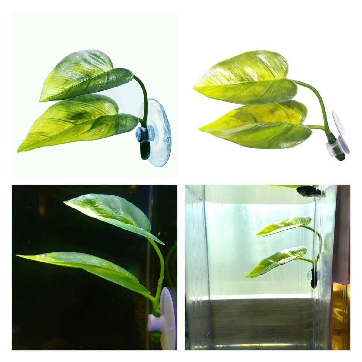 Betta Fish Leaf Pad Plastic Suction Cup L79329