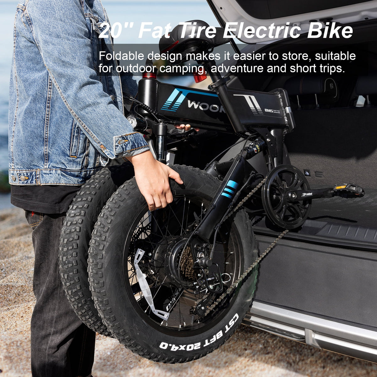 20''X4.0 Fat Tire 500W 20MPH Foldable Electric Bike H422