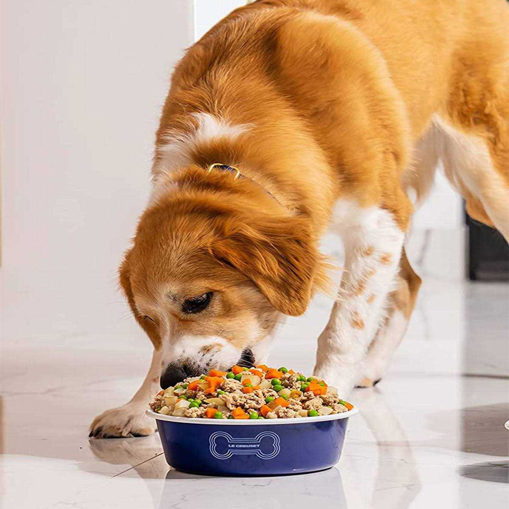 Dog Bowl V161974