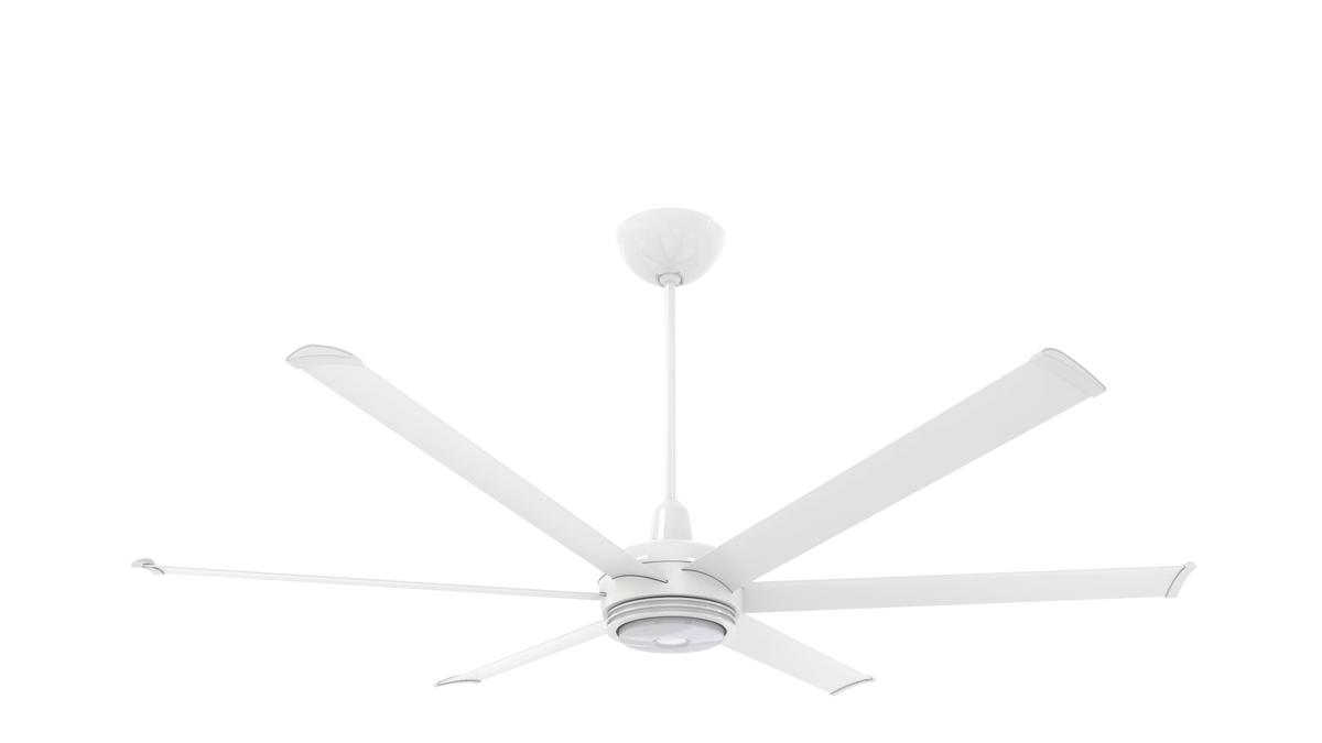 White 72 Ceiling Fan with Downlight and Uplight T11437