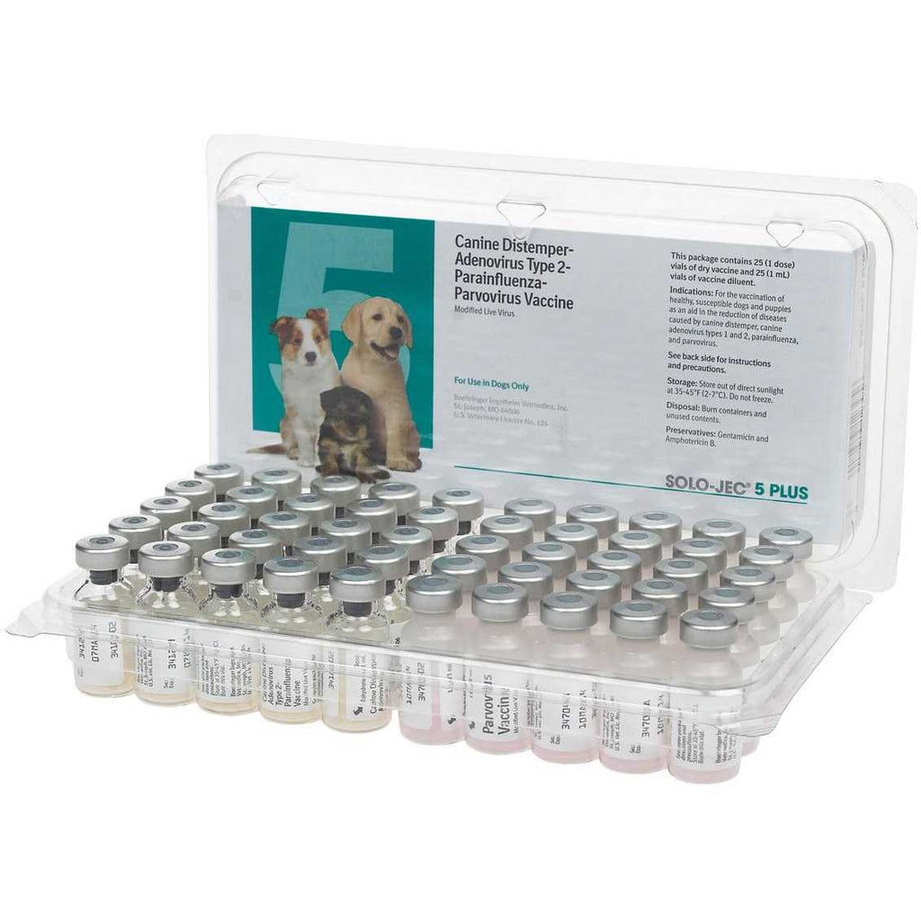 Dog Vaccine C685989