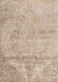 Desert 6'7 x 9'2 Rug Q6963