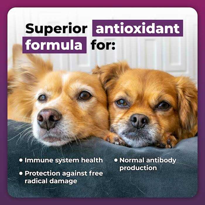 Immune Plus for Small Dogs O3468