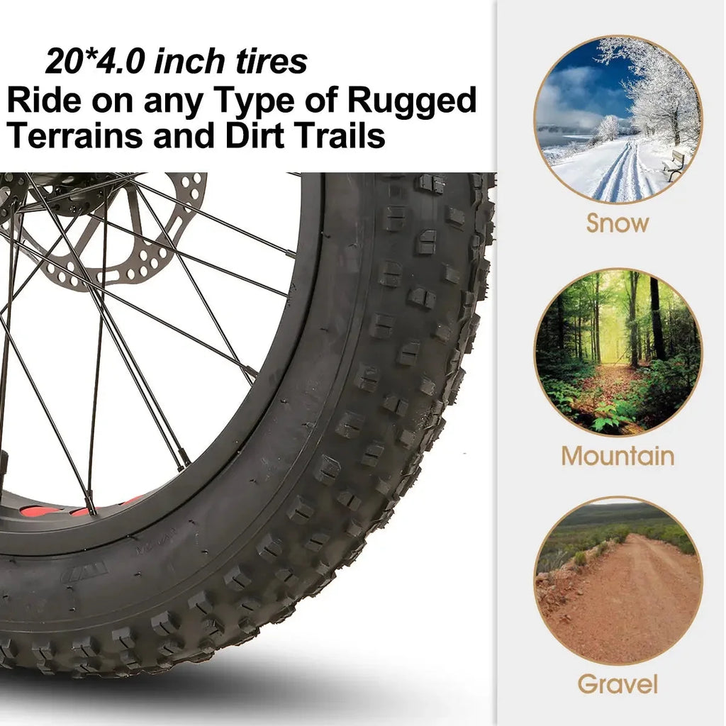 20 inch Kids Fat Tire Mountain Bike V629377