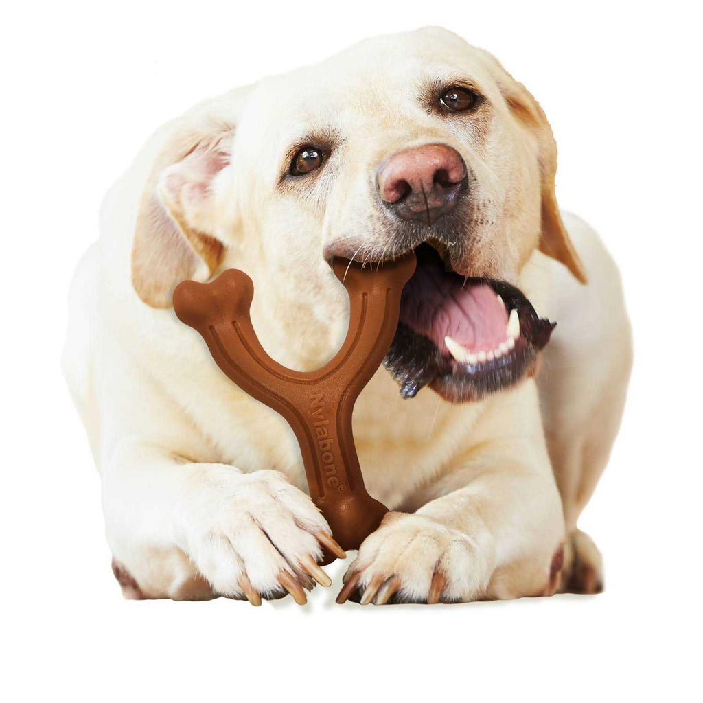 Dog Chew Toy Z6610