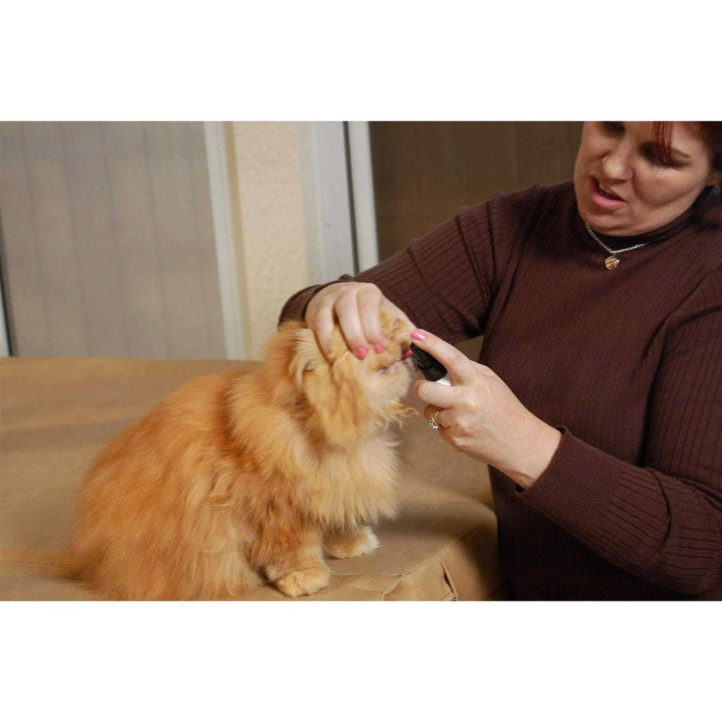Pet Dental Spray B4860