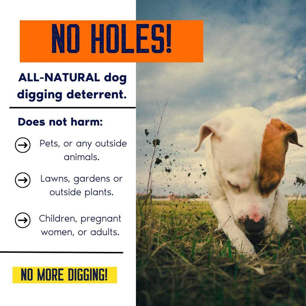 Dog Digging Prevention Gallon Concentrate H5977
