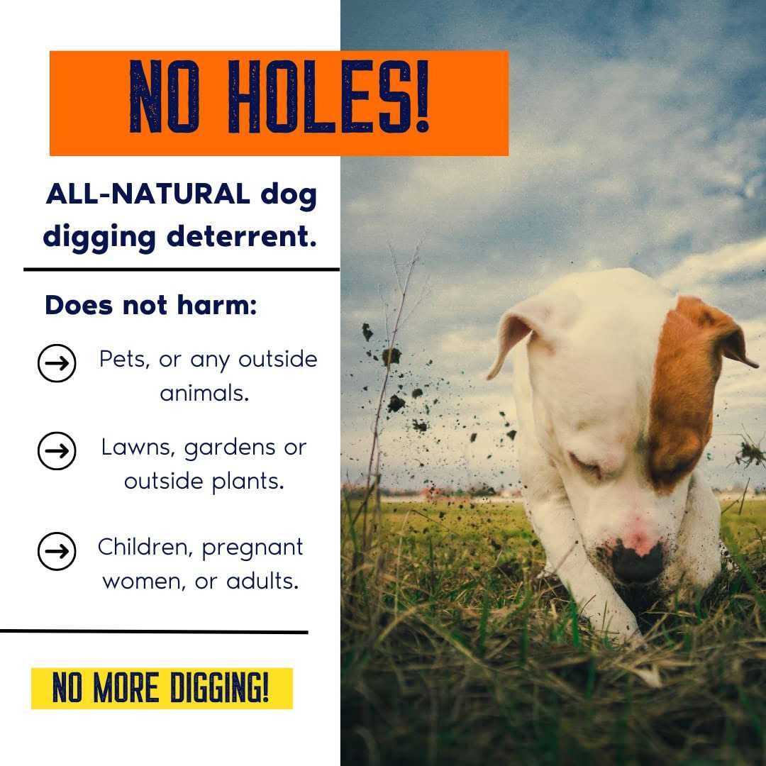 Dog Digging Prevention Gallon Concentrate H5977