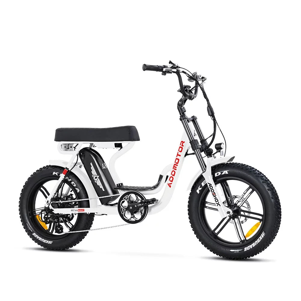 Fat Tire Step Through 750W 48V 20Ah Electric Bike G22350